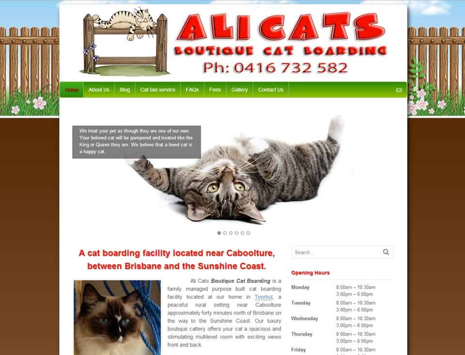 AliCatsBoutiqueCatBoarding ⋆ site Design Morayfield