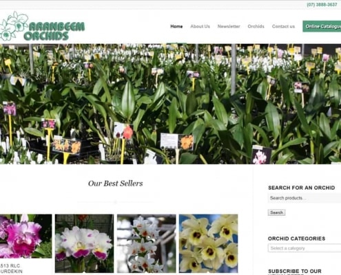 Aranbeem Orchids Home Page